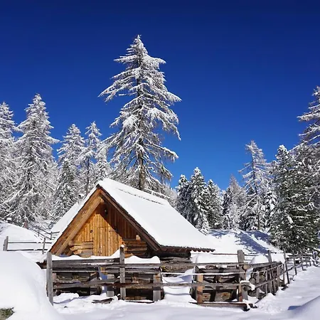 Bergheim Schmidt: Alpine Forest Huts on the Slopes Turracher Hoehe Exterior photo