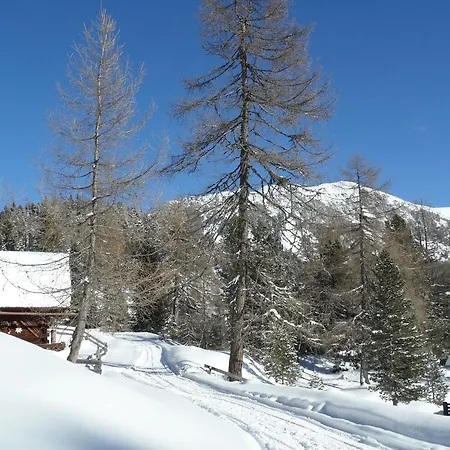 Bergheim Schmidt: Alpine Forest Huts on the Slopes Turracher Hoehe Room photo