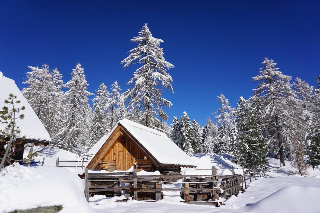 Bergheim Schmidt: Alpine Forest Huts On The Slopes Apartment