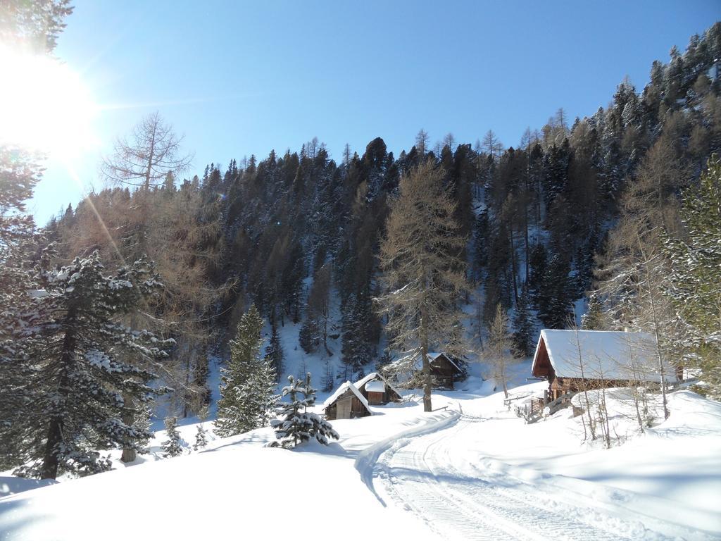 Apartment Bergheim Schmidt: Alpine Forest Huts On The Slopes *