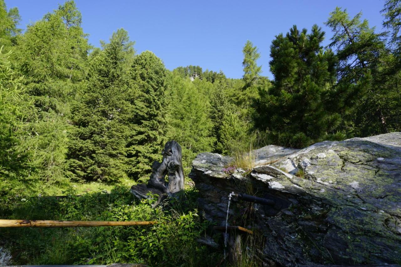 Bergheim Schmidt: Alpine Forest Huts On The Slopes Turracher Hoehe